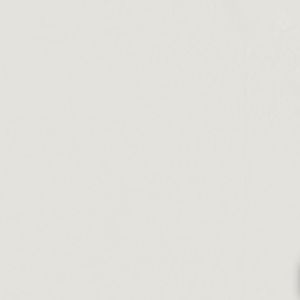 Meet your Posher, Addison